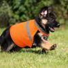 Reflective Dog Safety Vest Breathable Pet Fluorescent Clothes Puppy Visibility Jacket  Running
