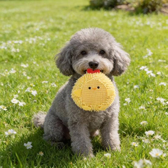 Plush Squeaky Dog Toy with Short Mop Velvet Interactive Stuffed Toy for Small Medium Large Breeds Cute Animal Soft Dog