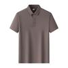 Summer Men's Lapel Polo Shirt Men's Short Sleeve Casual Business High-end Top Men's Clothing