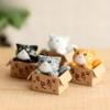 Cute Boxed Kitten Accessory, Cute Cat Figurine, Miniature Boxed Figurine, Houseplant Ornament (1 Black)