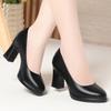 Jiuzhan Formal Work Shoes Black Versatile Tooling High Heels with Suit Leather Shoes Single Shoes Interview Women's Shoes