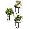 3 Stück Mehrzweck-Wandpflanzenhalter zum Aufhängen von Grünpflanzen Platzsparend für Innenräume Moderne Dekorationen Pflanzgefäß Halter Gestell