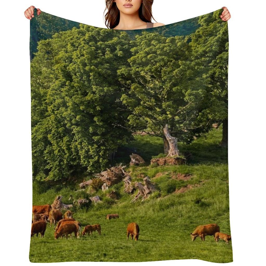 English Country Farming Scene Throw Blanket blankets and throws Fashion Sofas Luxury Thicken Bed covers Blankets
