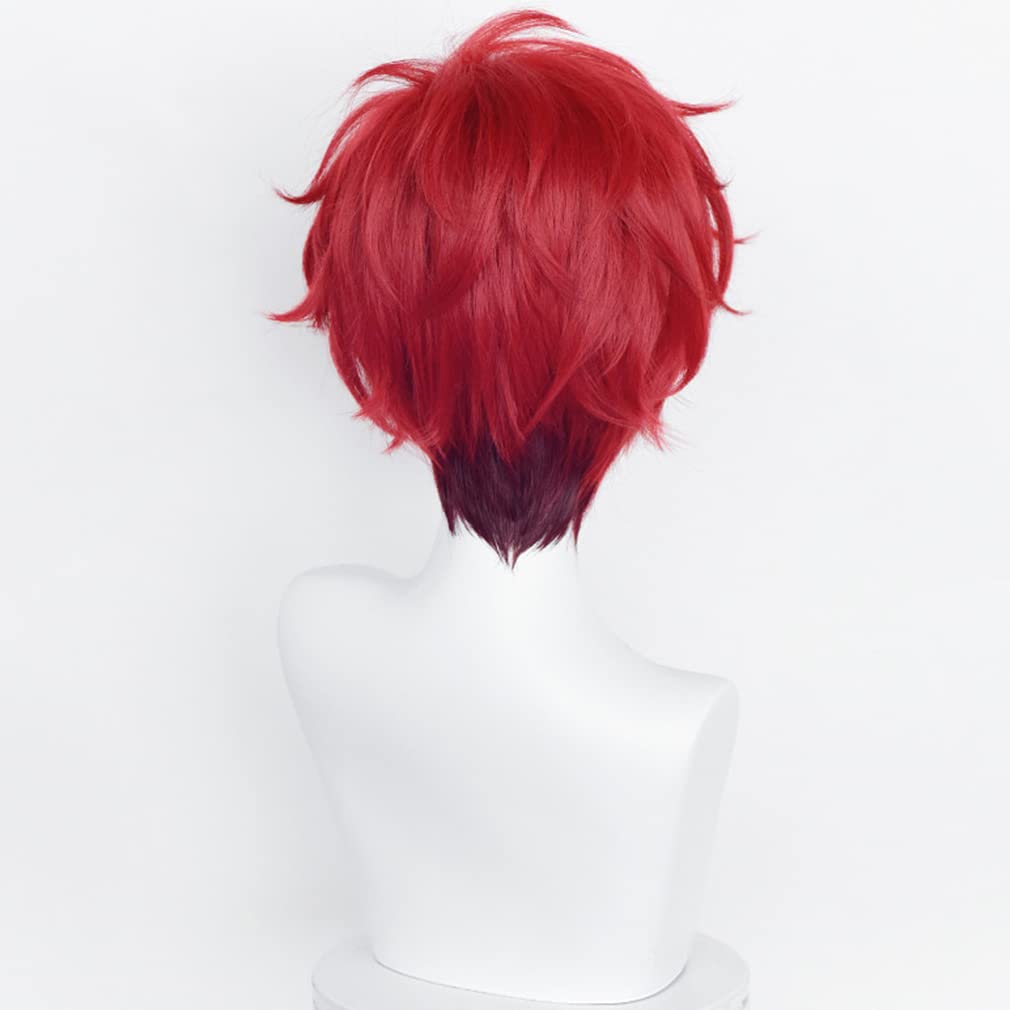 LAOBAO Cosplay Wig - Amagi Iori - Heat Resistant, Disguise Wig, Red - Costume Accessory for Parties, Halloween, Fancy Dress, School Festivals, Events