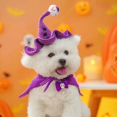 Pet Dog Cat Wizard Hat Small Dog Puppy Hat Outing Handsome Leisure Fashion Cute Accessories Halloween Woolen Wizard Hat Funny