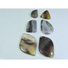 245Cts. Natural Botswana Agate Fancy Cabochon Loose Gemstone 6 Pcs Lot A-671