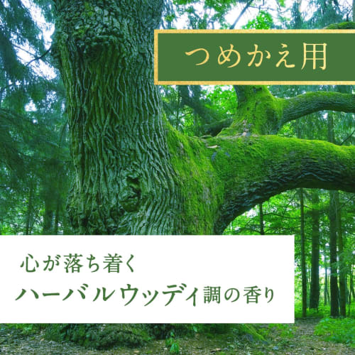 Sukki-ri! Cork + Stick Purifier "Under the Big Tree" Reed Diffuser, Herbal Woody Scent, Refill, 100ml