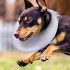 Pet Recovery Collar Adjustable Dog Cat Neck Cone Soft Anti-Licking Protective Shield for Wound Healing