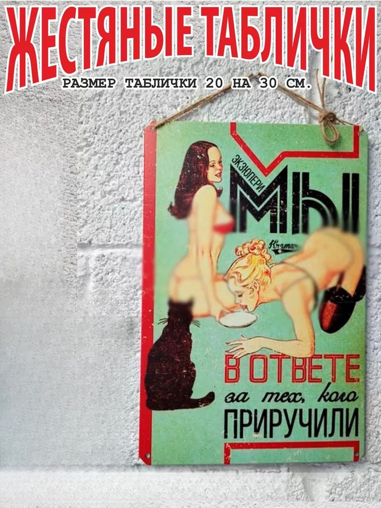 Dreams Come True Motivational Metal Poster, Wish Fulfillment Wall Art Decor