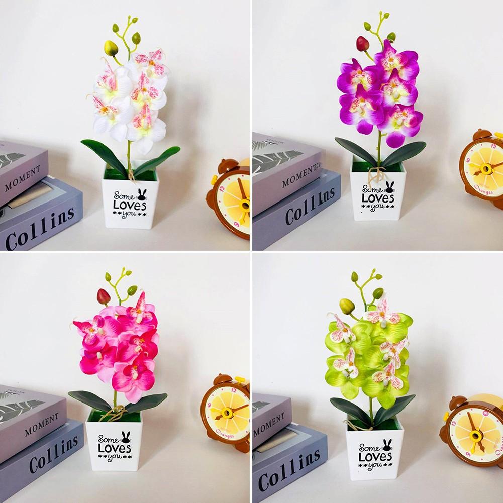 

Phalaenopsis Flower in Pot Natural Beauty for Your Kitchen or Dining Room фіолетовий