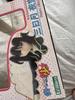 [USED] Mikazuki Yozora "Haganai" 1/8 scale painted PVC figure