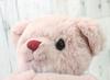 Take Off Peek-A-Boo Bear, Small, Pink Plush Toy with Music Box