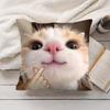 Cute Cat Dog Kawaii Gift Cushion Cover Silky Short Plush Invisible Zipper Dustproof Sofa Pillow Case For Home Decor