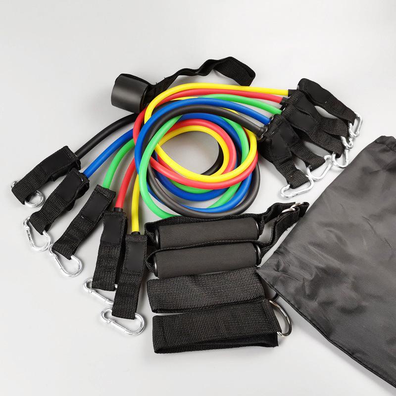TPE 11-Piece Resistance Bands Set with Markings, Carabiner, Pulley Hook, Multifunctional for Home Fitness