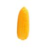 Teaching Foam Artificial Eggplants Soft Lifelike Simulation Eggplants Handicrafts Eggplants Model Desk Decoration Accessories