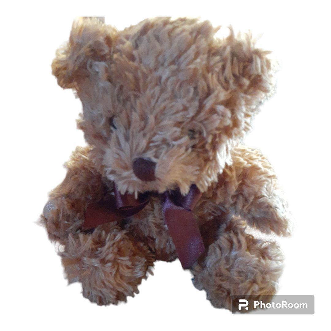 

[USED] teddy bear
