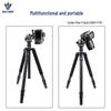 Wolfgang T868 Carbon Fiber Tripod with YT29 Ball Head