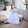 2024 Summer Elsa Princess Dress Summer Ice and Snow Love Sand Dress New Glowing Girls Elsa Dress SB30