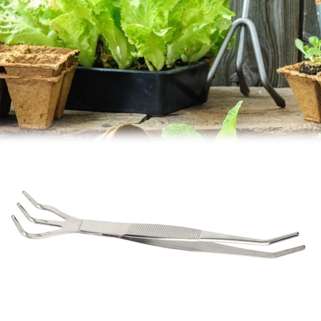 2 In 1 Stainless Steel Bonsai & Gardening Tool Root Rake Tweezers