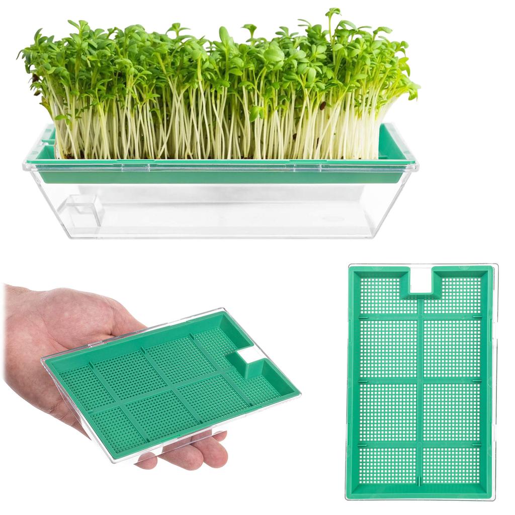 KADAX Kiełkownica Mała 16x10cm Zielona