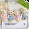New Couple Bear Teddy Bear Cute Plush Doll Play House Toys Scenic Children's Gift