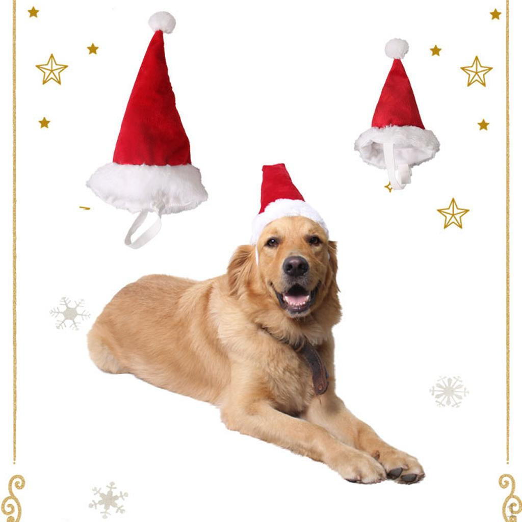 cat and dog Christmas Santa Hat 2 L