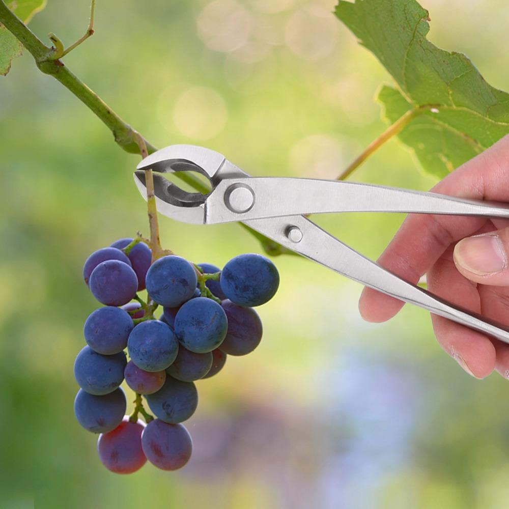 Stainless Steel Branch Cutter Ergonomic Handle Bonsai Scissors Professional Knob Cutter