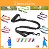 Innovative And Comfortable Dog Leash With Reflective Features For Customers