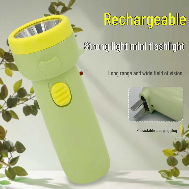 Lishi Mini Rechargeable Flashlight