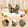 Decorative Collectible Squirrel Statue, Storage Item, Animal Sculpture for Housewarming, Wardrobe,