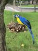 25/35cm Simulation Parrot Garden Decoration Creative Lawn Figurine Ornament Animal Bird Outdoor Garden Party Prop Decoration