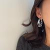 2025 New Fashion Exaggerated Zebra Pattern Acrylic Earrings for Women Personality Hypoallergenic Ear Ring Party Zircon
