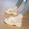 Temperament thick-soled heightening cool slippers women's 2025 new summer wear high-end skirt seaside beach sandals