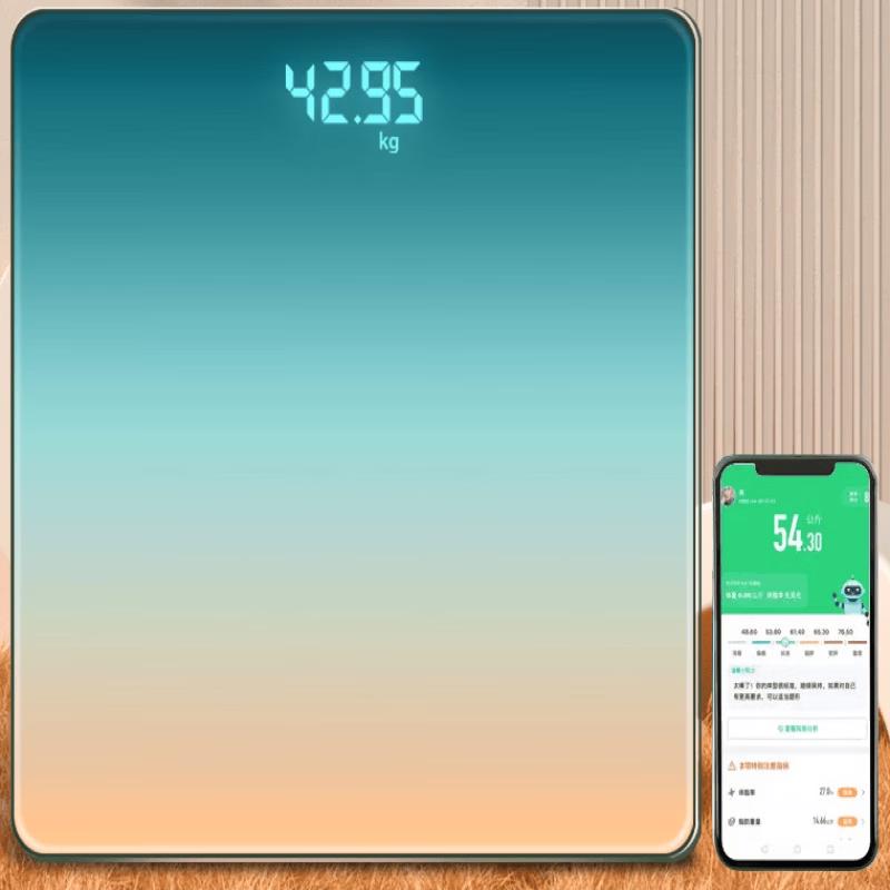 Brangdy Electronic Weight Scale (CN version)
