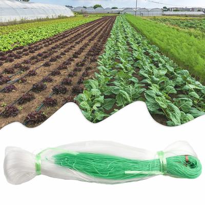 2M X 100M Accessori per Cetrioli Rete per Cetrioli Jaring