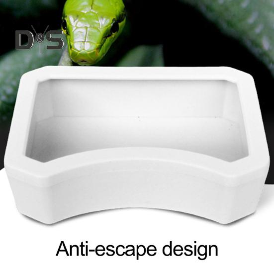 Reptile Water Bowl Plastic Food Grade Water Box Feeder Reptile Food Water Dish Pet Aquarium Ornament