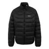 Regatta Mens Dalent Padded Jacket