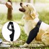 Cat Recovery Sleeve Reduces Pain Injury Recover Dog Support Brace Pet Knee Pads Legs Wrap