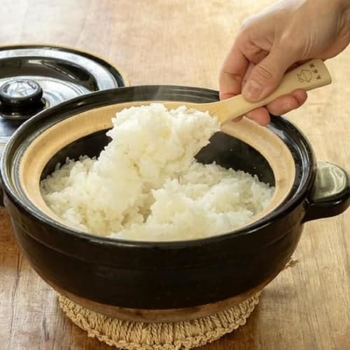 Hase-en Kamadosan Donabe (Earthenware Pot) - 3-cup capacity, approximately 24cm diameter x 16cm height, Iga-yaki, rice cooker, includes cooking recipe