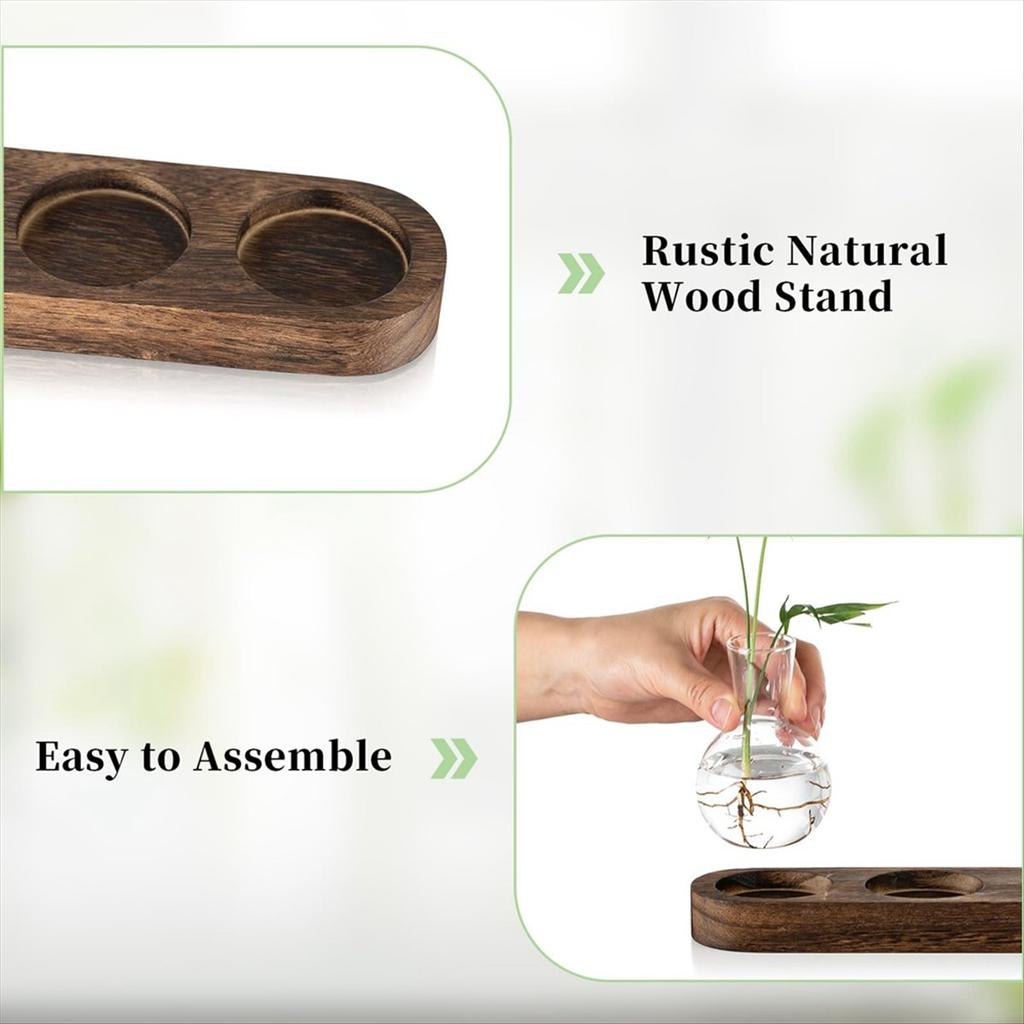 BHBL Plant Terrarium Propagation Station, Glass Planter Bulb Vase with Wooden Tray, Modern Bud Vases for Living Room