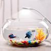 360 ° Rotation Fish Tank Plants Grow Light 5W Fish Tank Small Clip Light  Aquarium