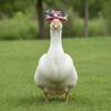 Plush Spiders Porch Goose Costume Bat Wings Lawn Goose Clothes  Yard Ornaments