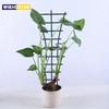 Stackable Plant Trellis Ladders ,Indoor Outdoor Use, Ideal for Climbing Vines, Roses, Lavender, and More, Modern Plant Holder
