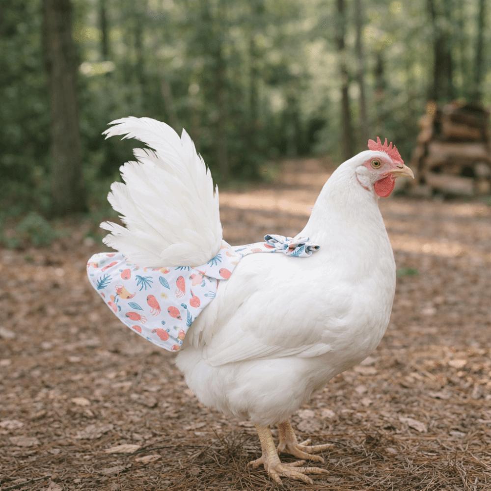 Cartoon Chicken Diapers Adjustable Pet Duck Vest Diaper Duckling Diaper Bags Backyard