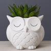 Cute Owl Planter Plant Pot with Drainage Hole Ceramic Decorative Planter for Succulents Small Aloe Home Office Desktop Decor