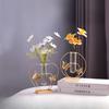 Hydroponic Vase Decoration Home Living Room Desktop Simulation Flower Planter Dining Table Light Luxury Style Decoration