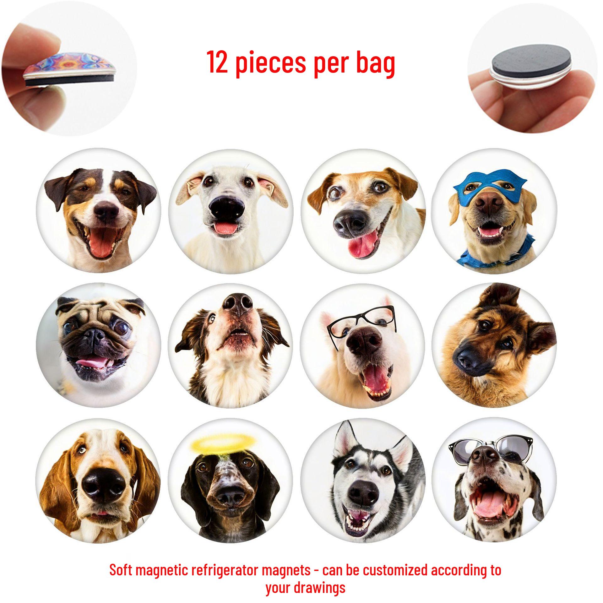 

Adorable Pet Emoji Glass Stickers & Magnetic Fridge Magnets for Home Decor 25 mm Magnets Set of 12 (WYT390)