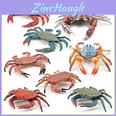 Realistic Plastic Crab Model Collection Vibrant Colors For Home Decor Educational Display