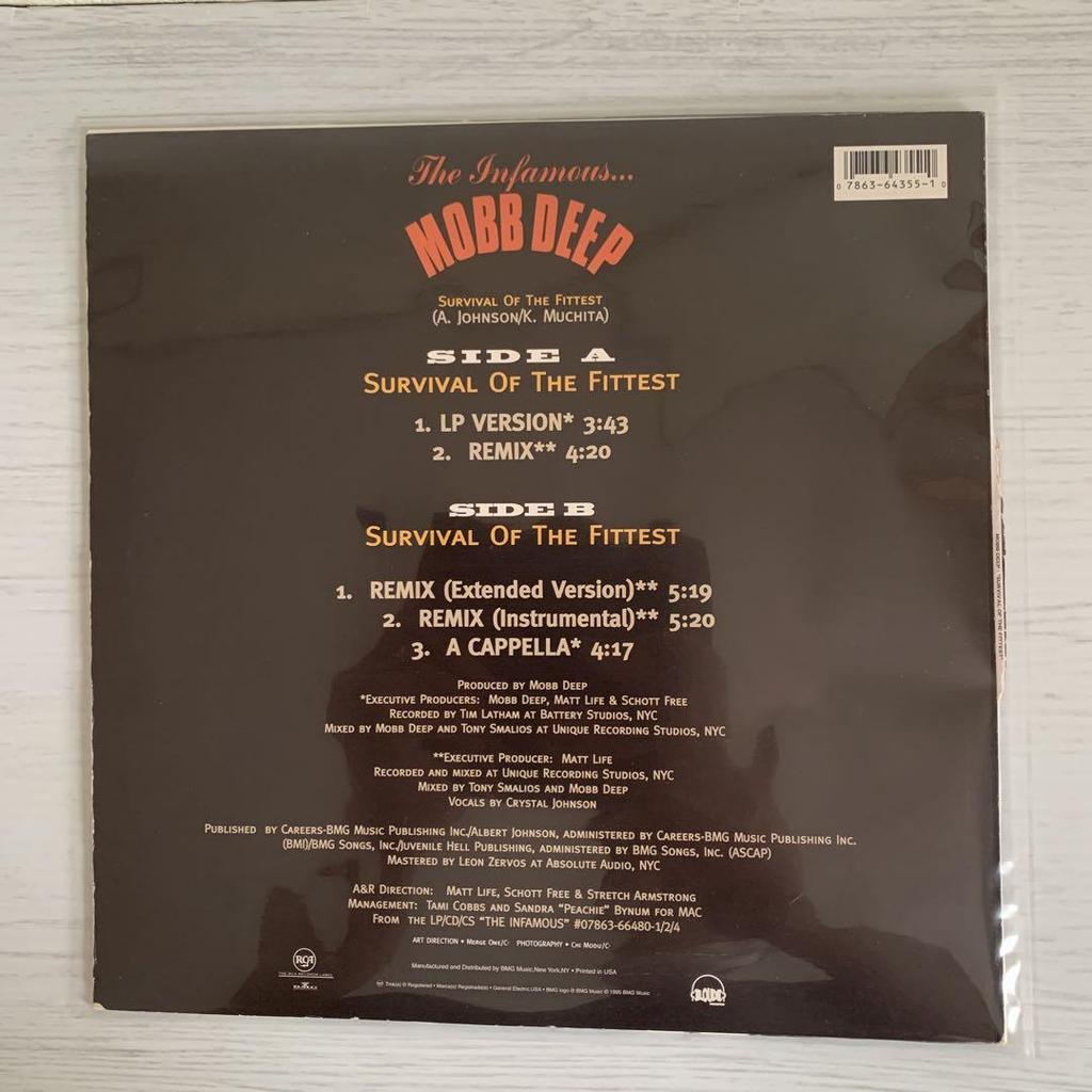 [GEBRAUCHT] Mobb Deep Survival of the Fittest