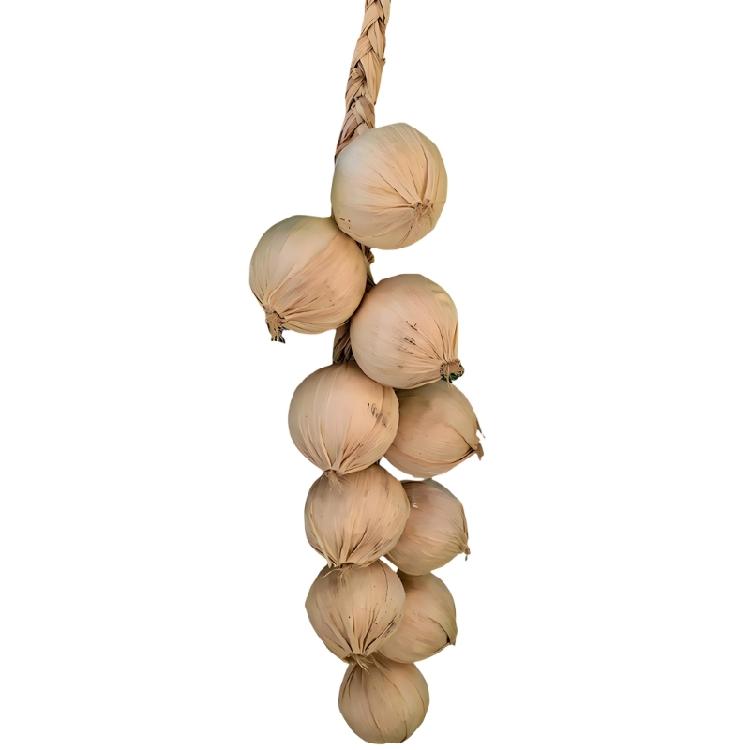 Kunstmatige Knoflook Ui Realistische Knoflook Ui Groente Keuken Decoratie voor Decoratie Mand Display Fotografie